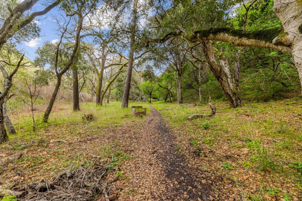 28750 Underwood Road Property Photo 37