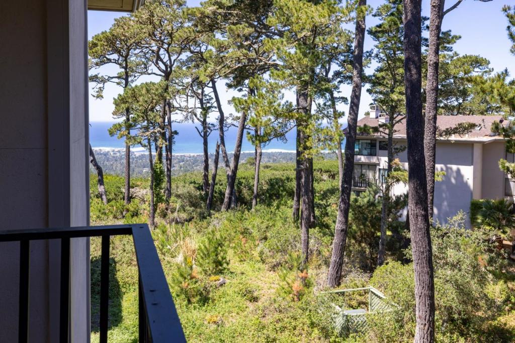 4 Ocean Pines Lane Property Photo 18