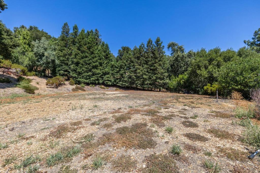 941 High Road Property Photo 4