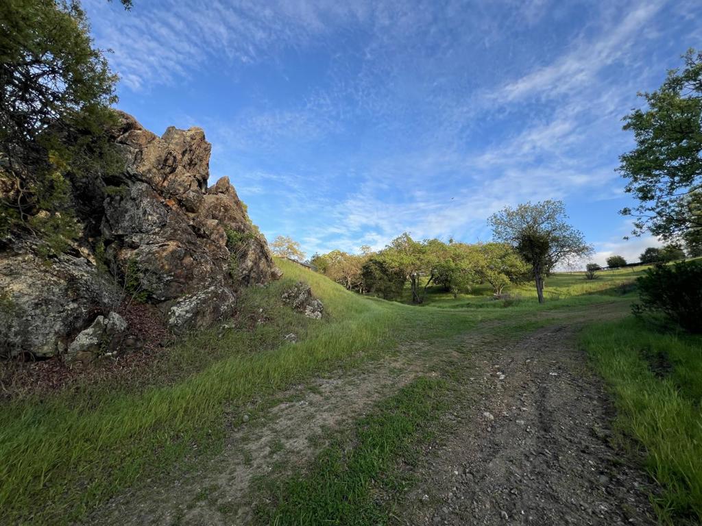 0 Oak Glen Avenue Property Photo 4