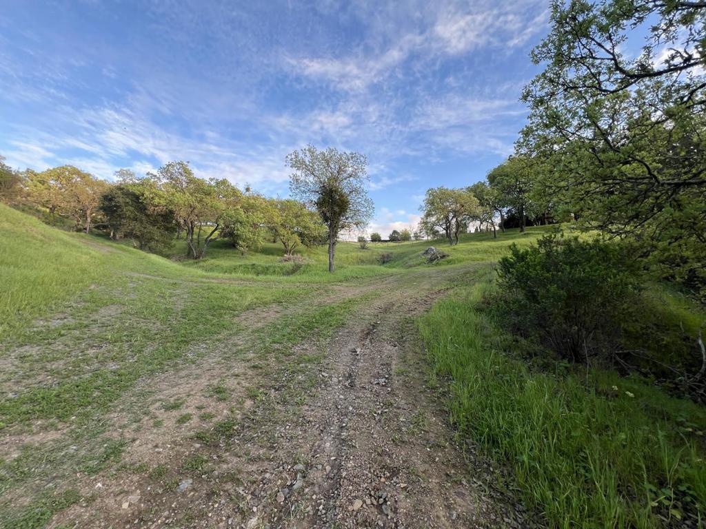 0 Oak Glen Avenue Property Photo 6