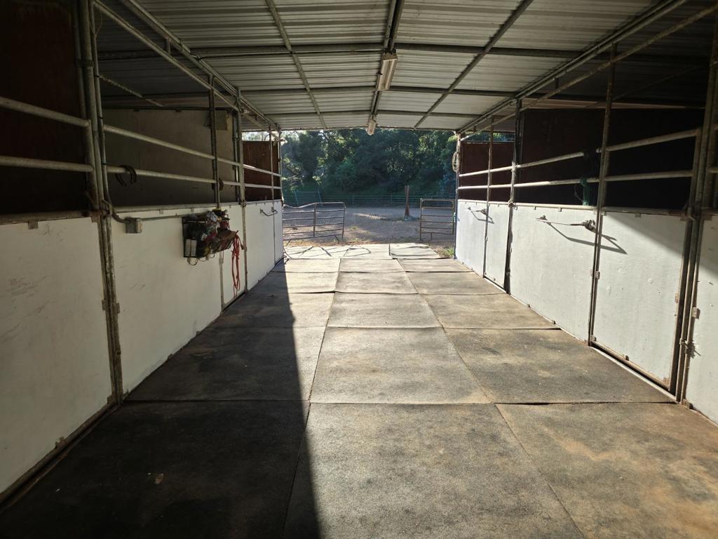 17329 Mcguffie Road Property Photo 14
