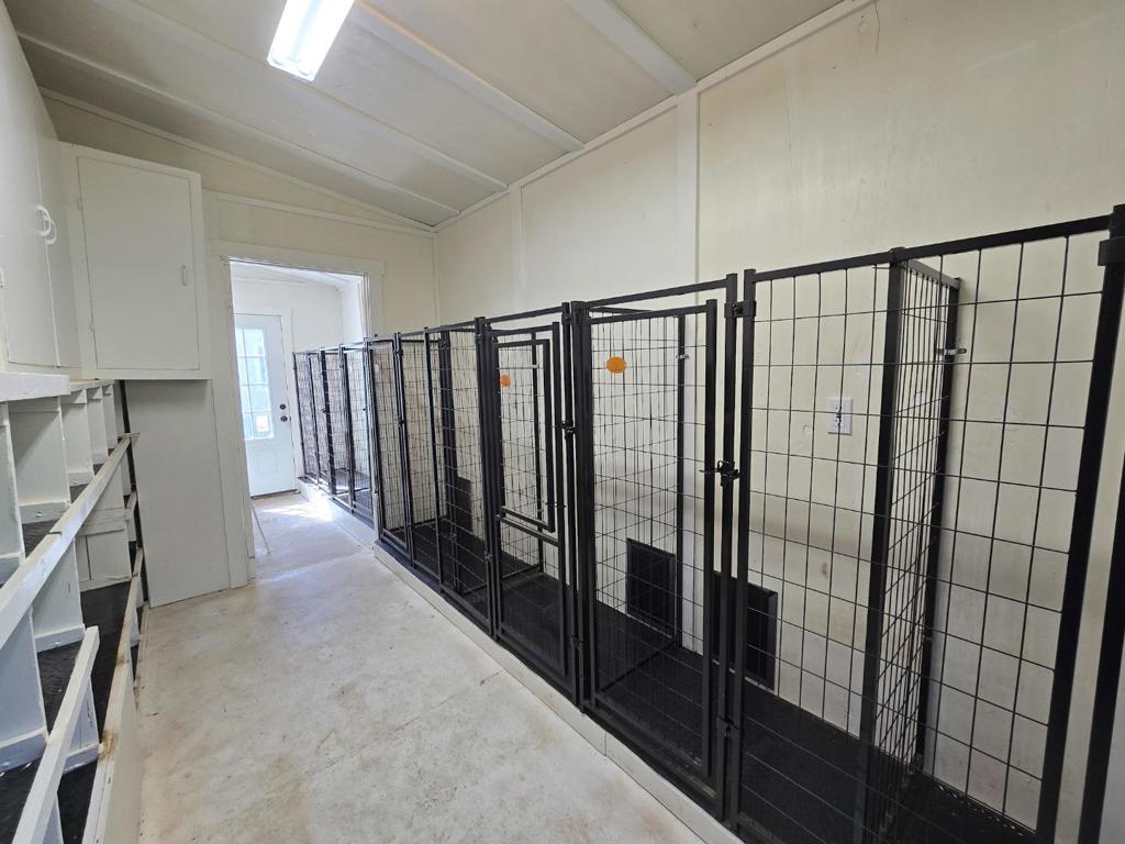 17329 Mcguffie Road Property Photo 15