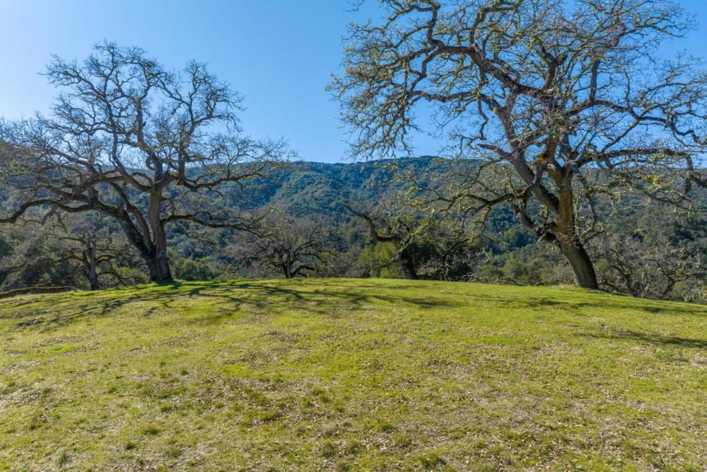 25 Arroyo Sequoia (Lot 108) Property Photo 1
