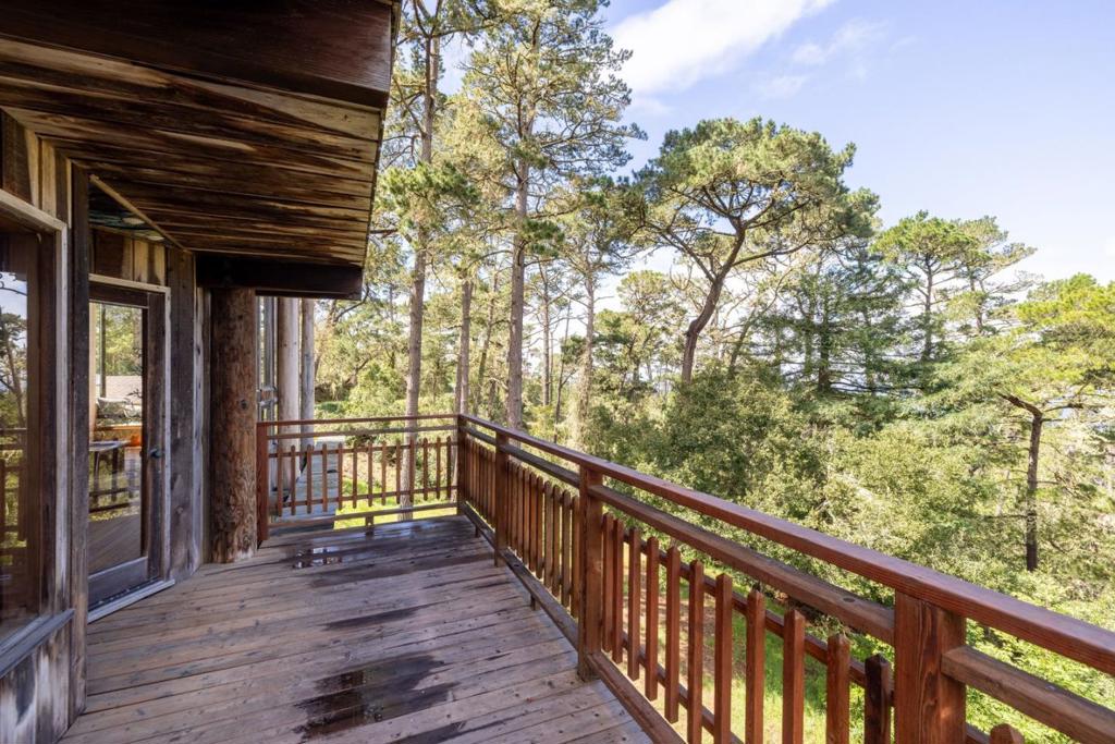 73 Mount Devon Road Property Photo 10