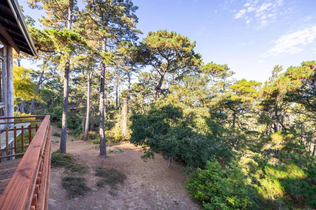 73 Mount Devon Road Property Photo 13