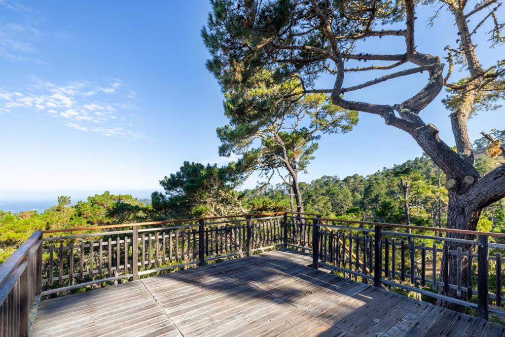 73 Mount Devon Road Property Photo 40