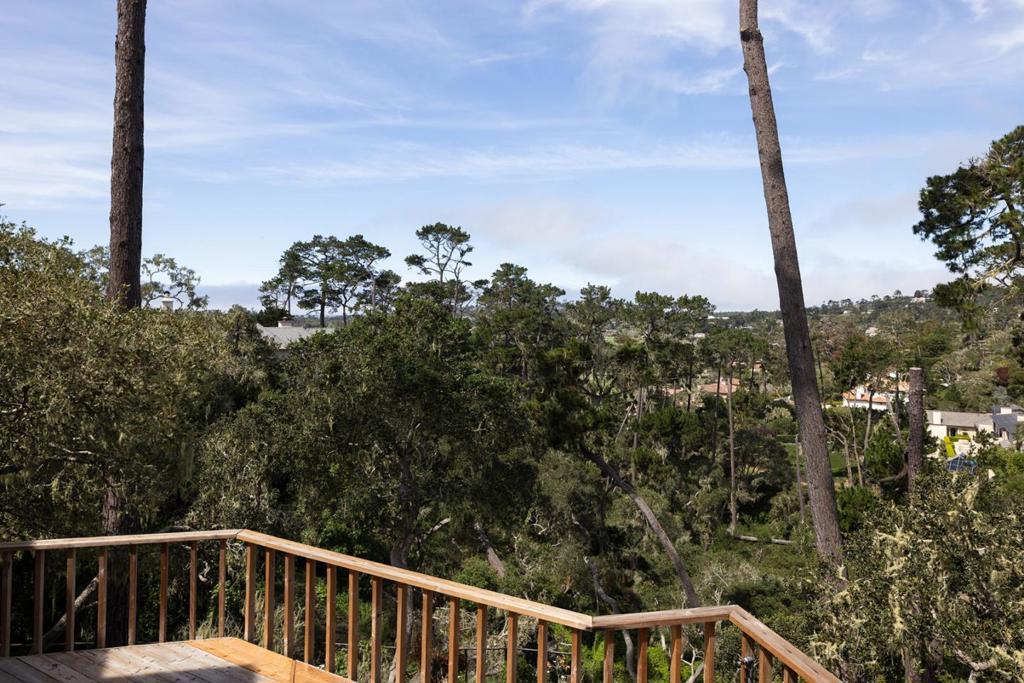 3198 Del Ciervo Road Property Photo 18