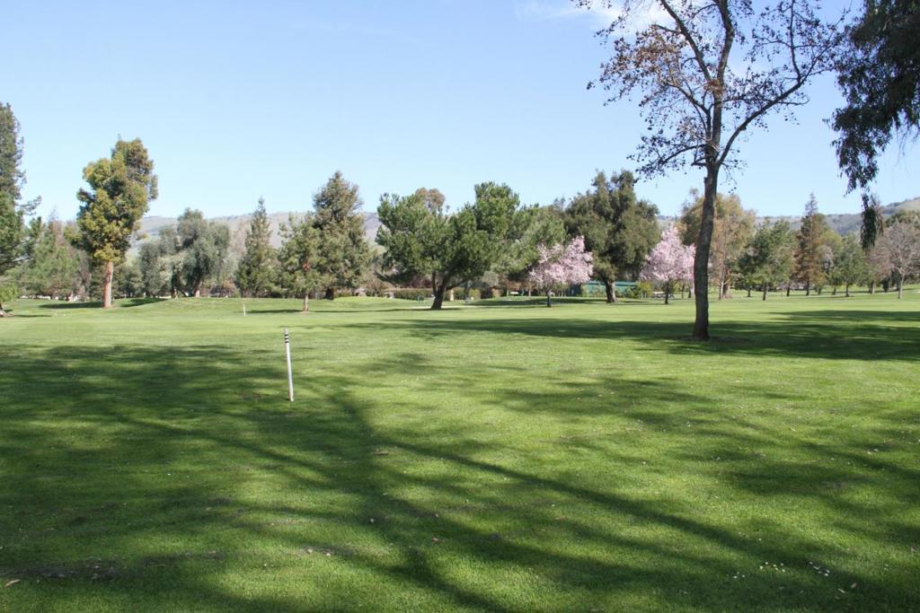7502 Deveron Court Property Photo 41