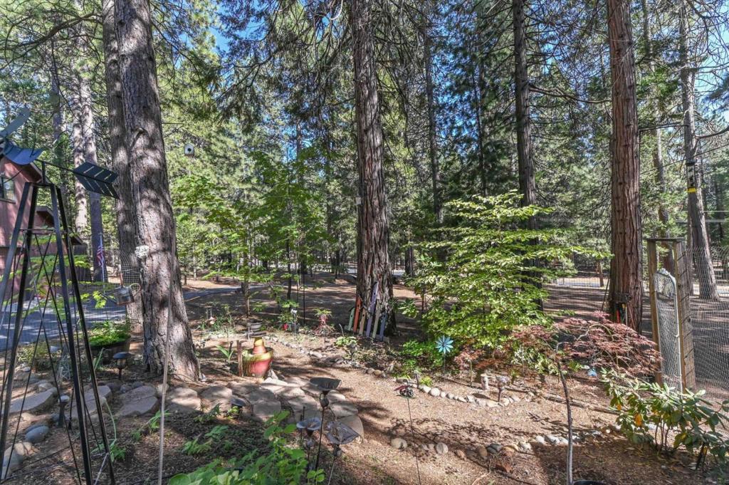 20175 E Pine Drive Property Photo 53
