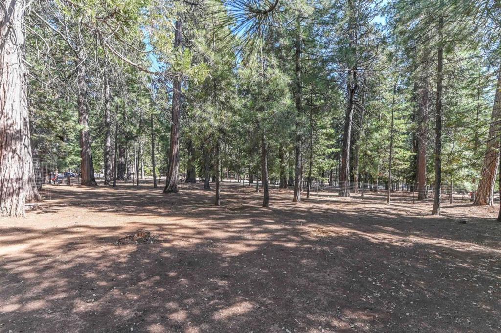 20175 E Pine Drive Property Photo 54