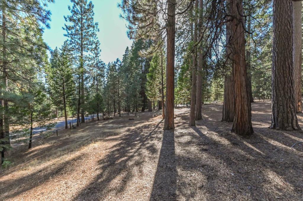 20175 E Pine Drive Property Photo 61