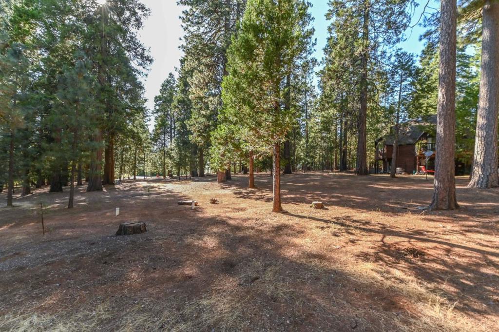 20175 E Pine Drive Property Photo 64