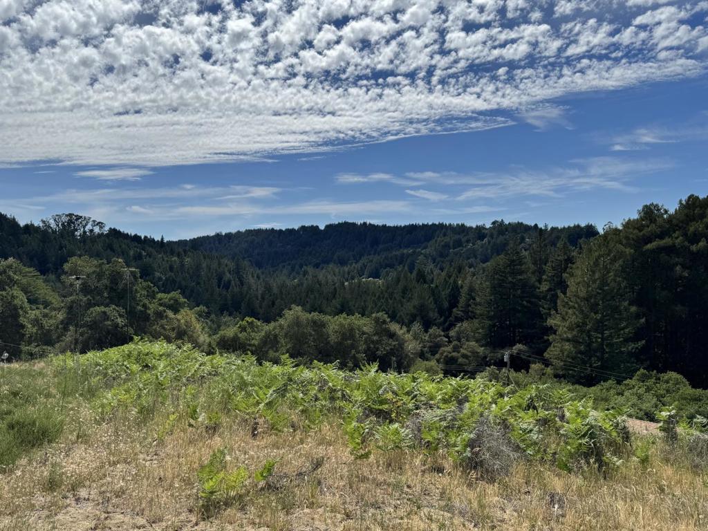 ML82043586 Property Photo 3