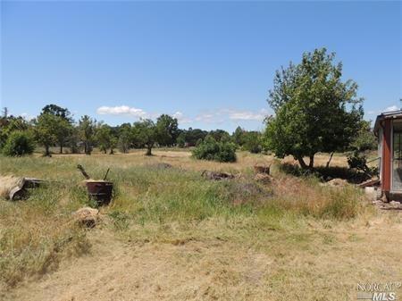 14895 Olympic Drive Property Photo 6