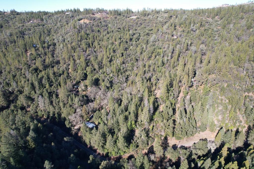 0 Sutter Creek Road Property Photo 1