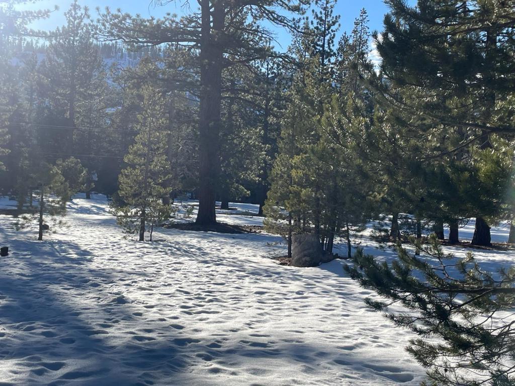 2510 Blitzen Road