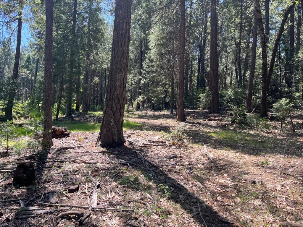 ML82044524 Property Photo 1