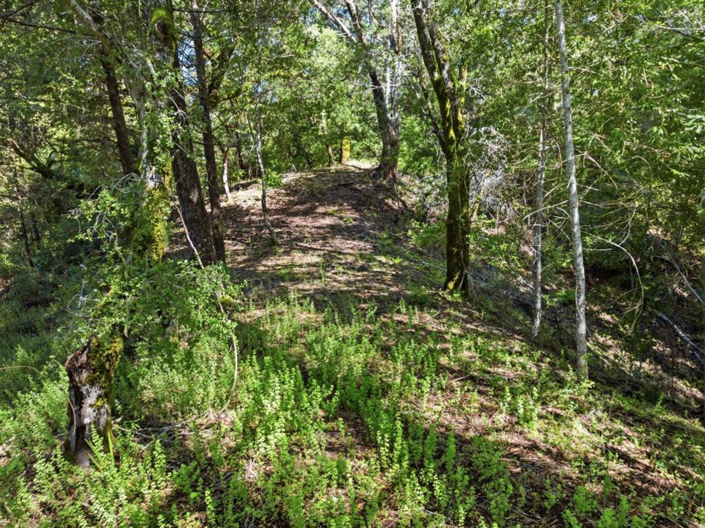 360 Rincon Way Property Photo 3