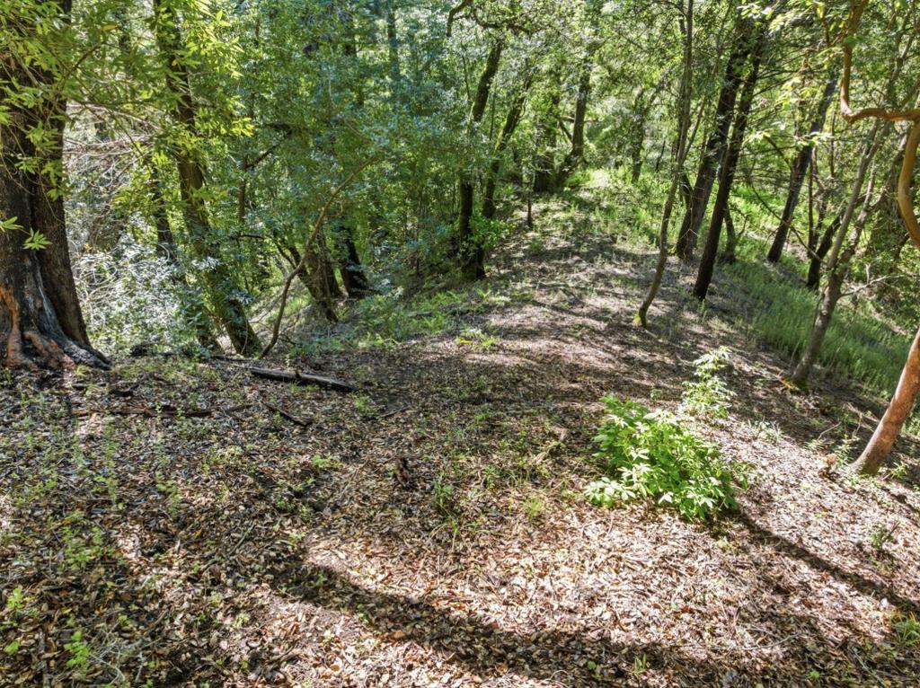 360 Rincon Way Property Photo 5