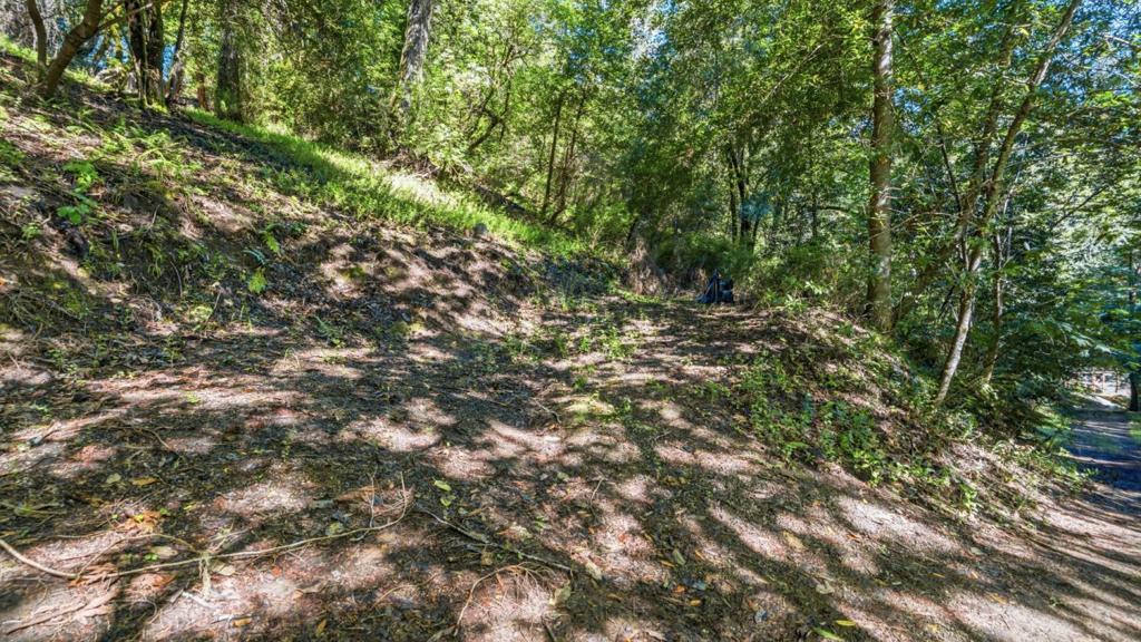 360 Rincon Way Property Photo 7