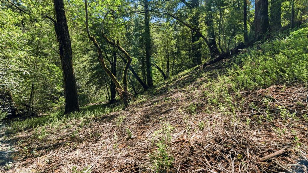 360 Rincon Way Property Photo 10