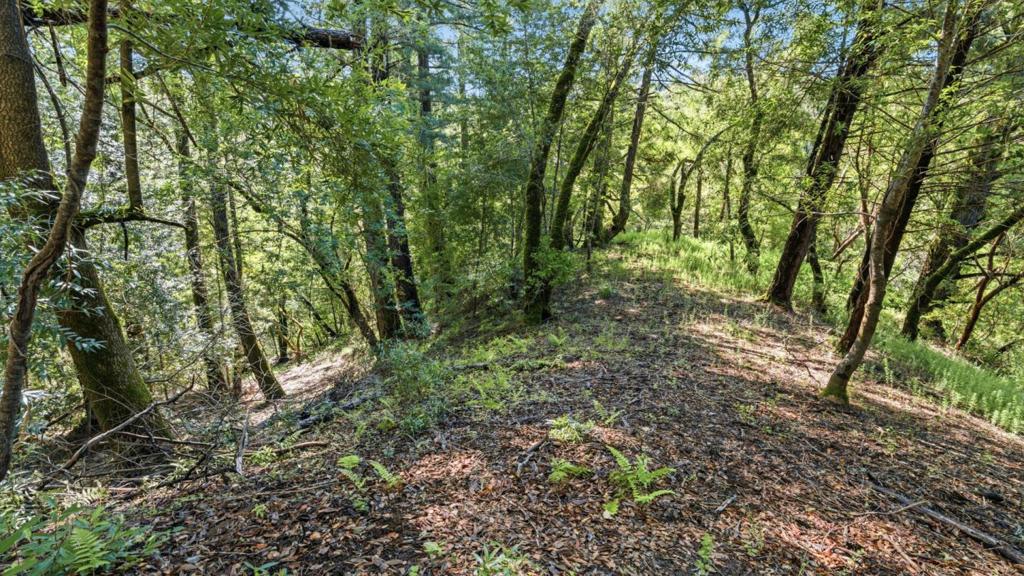 360 Rincon Way Property Photo 11