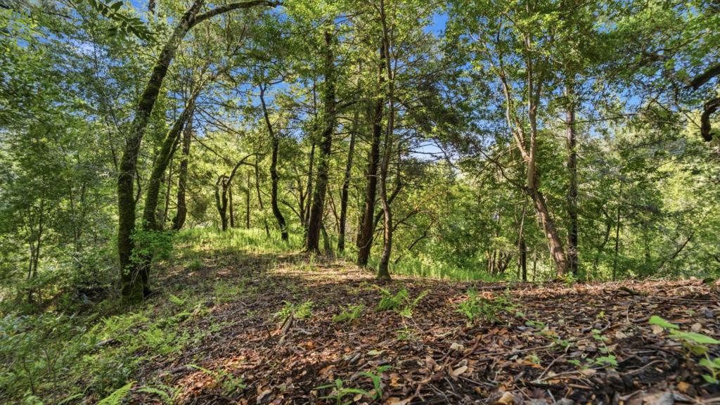 360 Rincon Way Property Photo 12