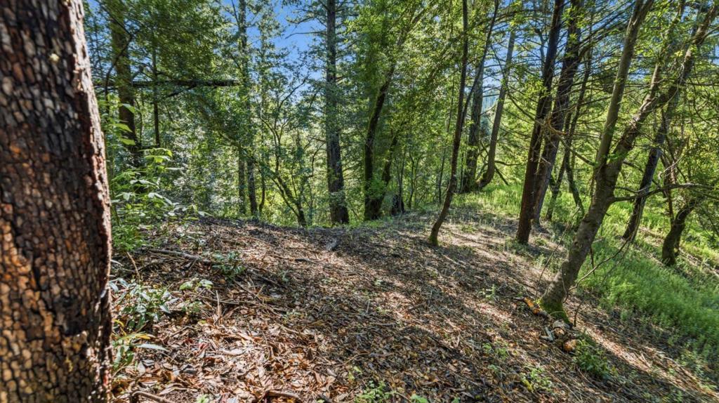 360 Rincon Way Property Photo 13