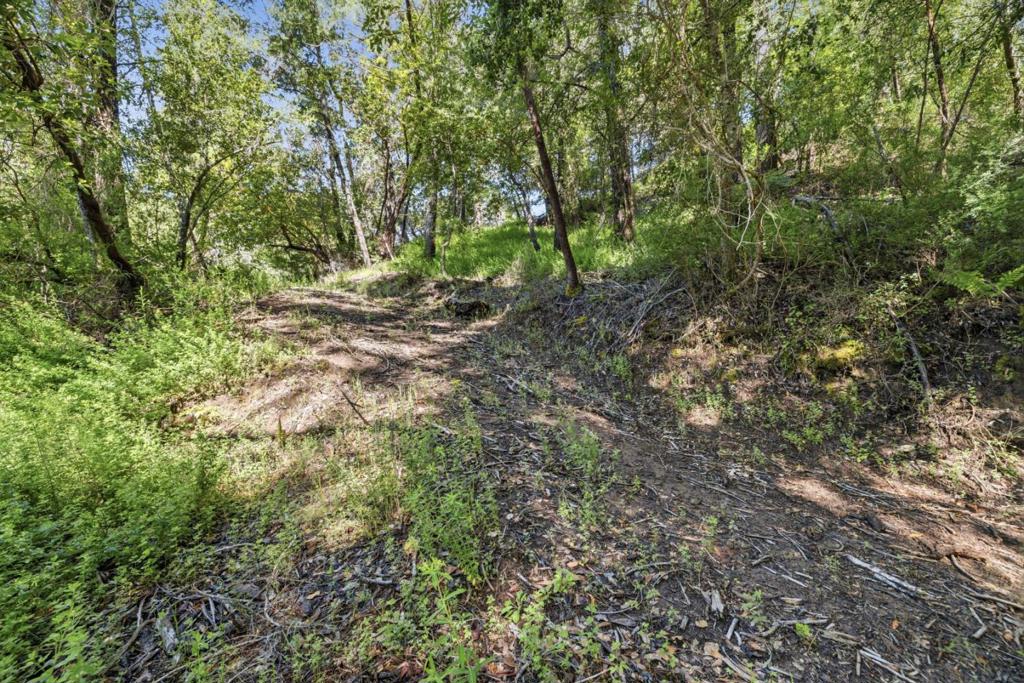360 Rincon Way Property Photo 14