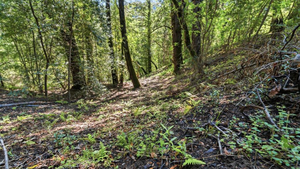 360 Rincon Way Property Photo 15