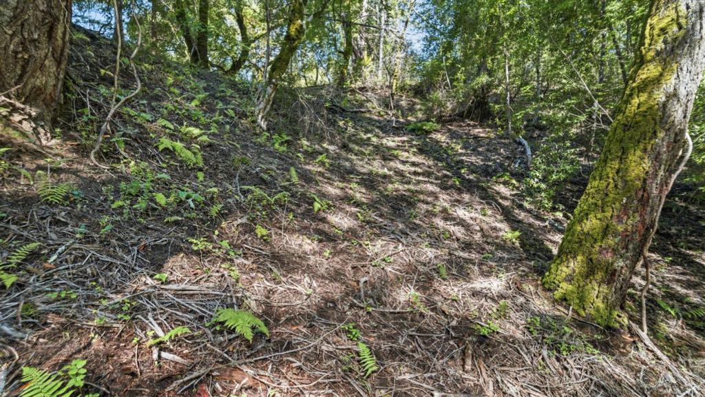 360 Rincon Way Property Photo 16