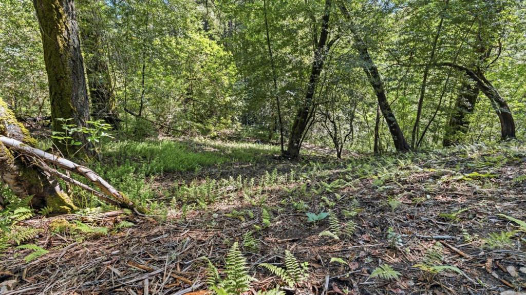 360 Rincon Way Property Photo 17