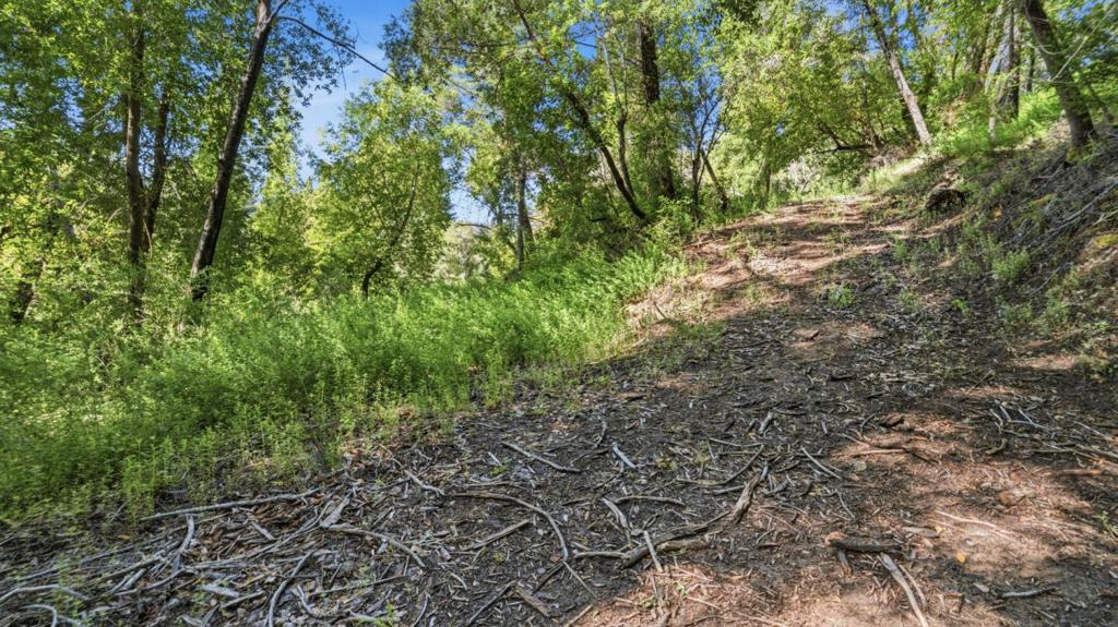360 Rincon Way Property Photo 18