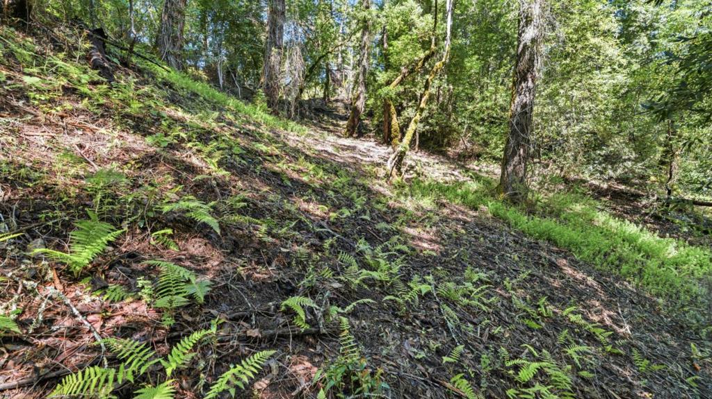 360 Rincon Way Property Photo 19