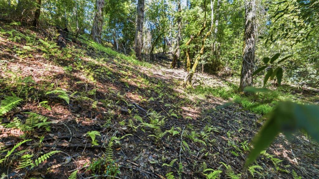 360 Rincon Way Property Photo 20