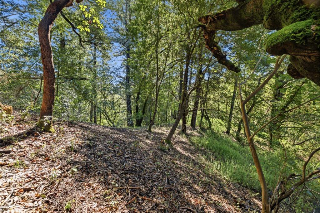 360 Rincon Way Property Photo 23