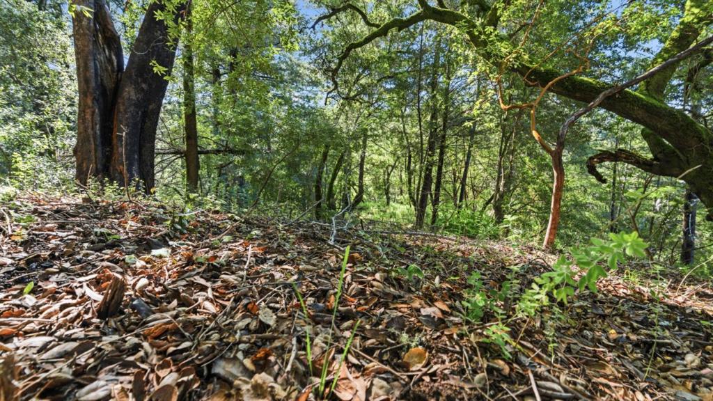 360 Rincon Way Property Photo 24