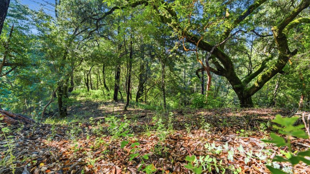 360 Rincon Way Property Photo 25
