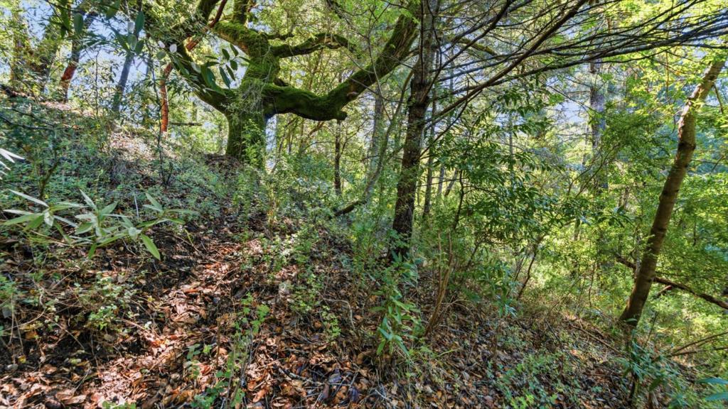 360 Rincon Way Property Photo 26