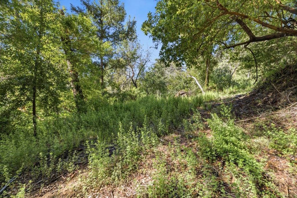 360 Rincon Way Property Photo 31