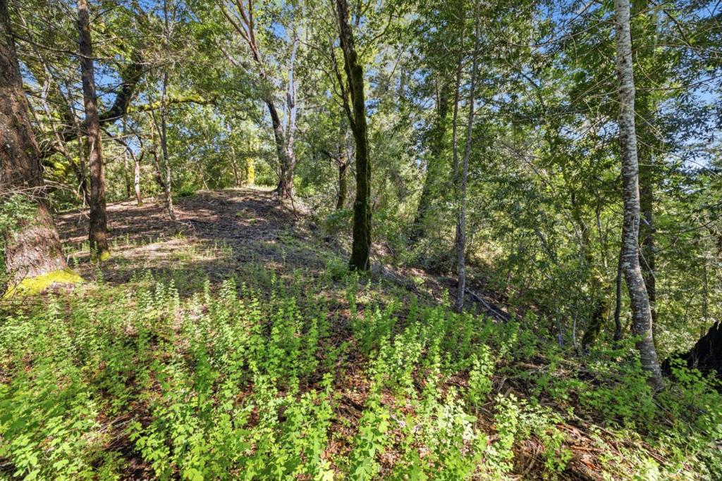 360 Rincon Way Property Photo 32