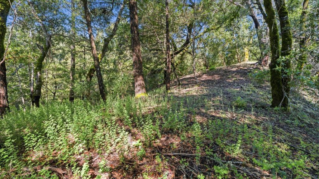 360 Rincon Way Property Photo 33