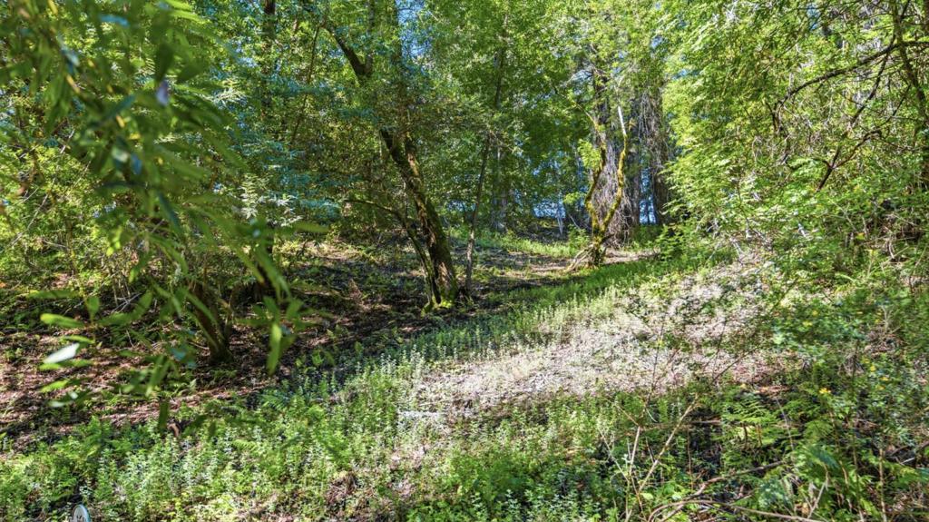 360 Rincon Way Property Photo 34