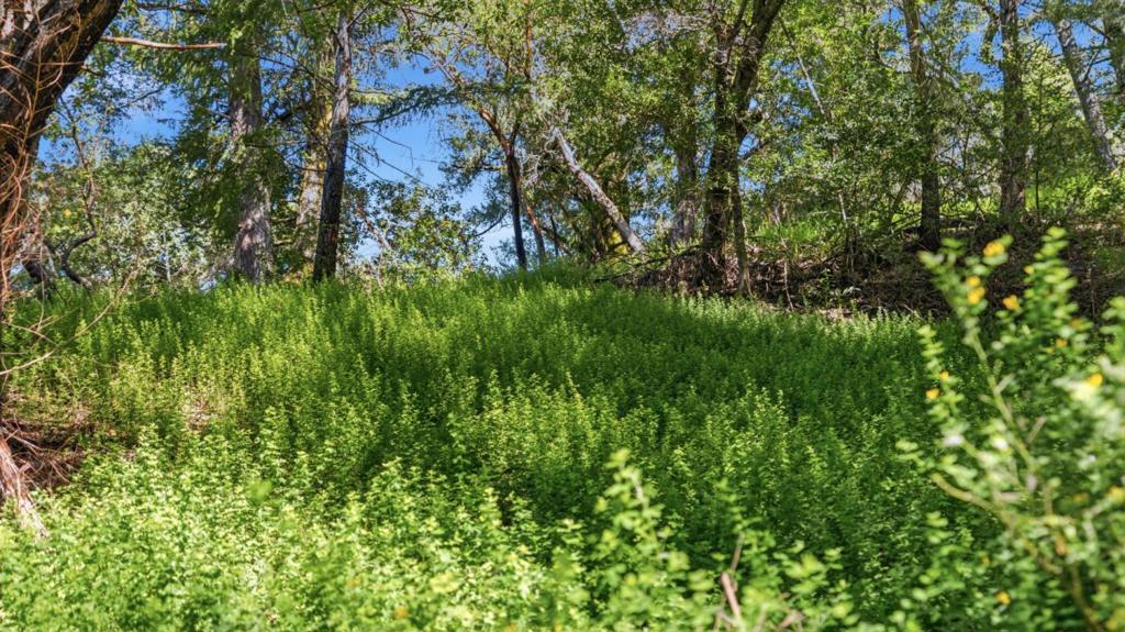 360 Rincon Way Property Photo 35
