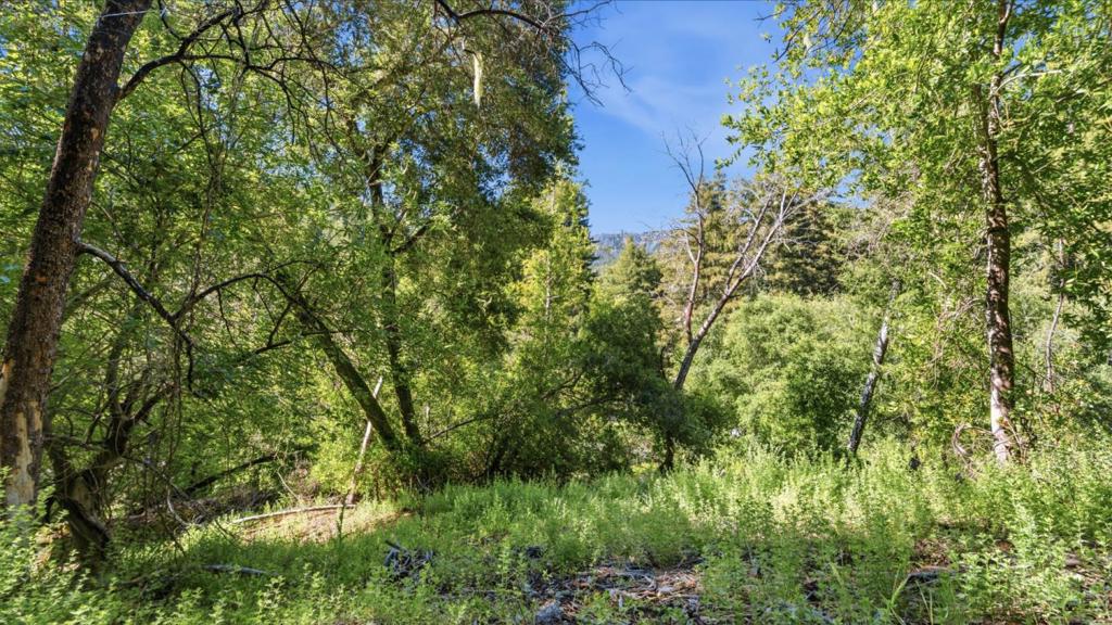 360 Rincon Way Property Photo 36