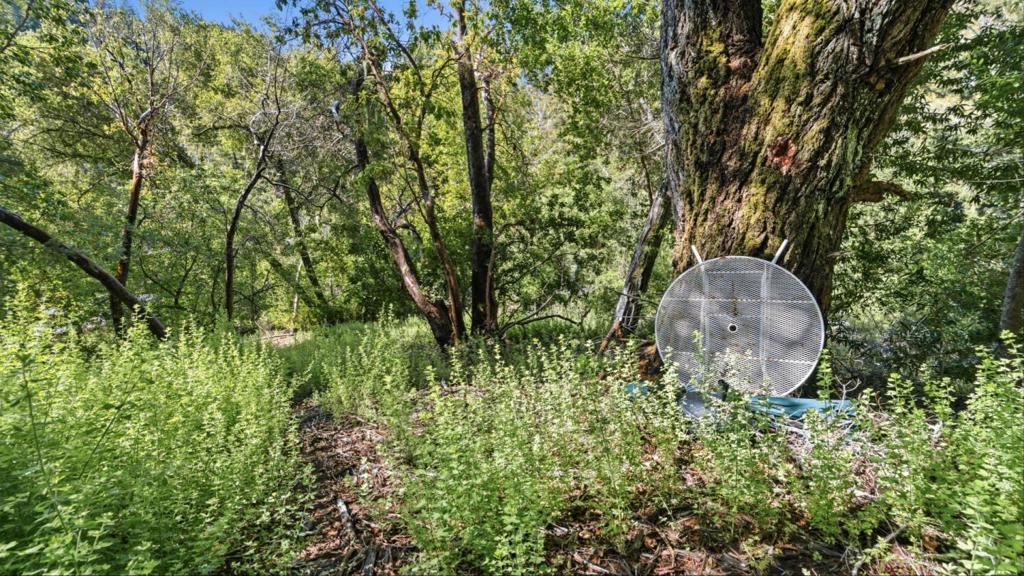 360 Rincon Way Property Photo 37
