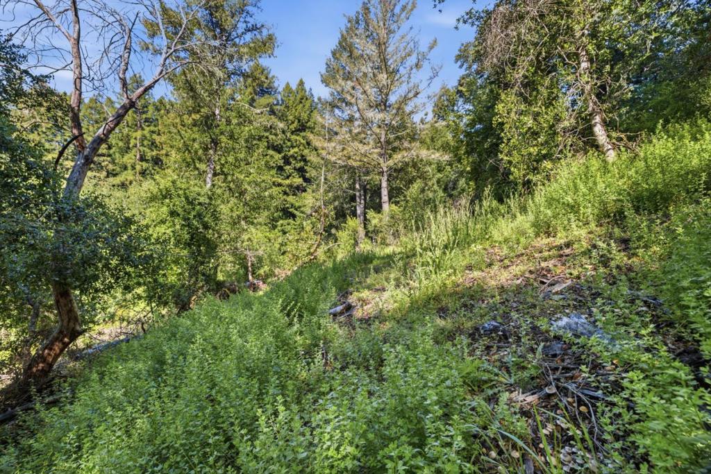 360 Rincon Way Property Photo 41