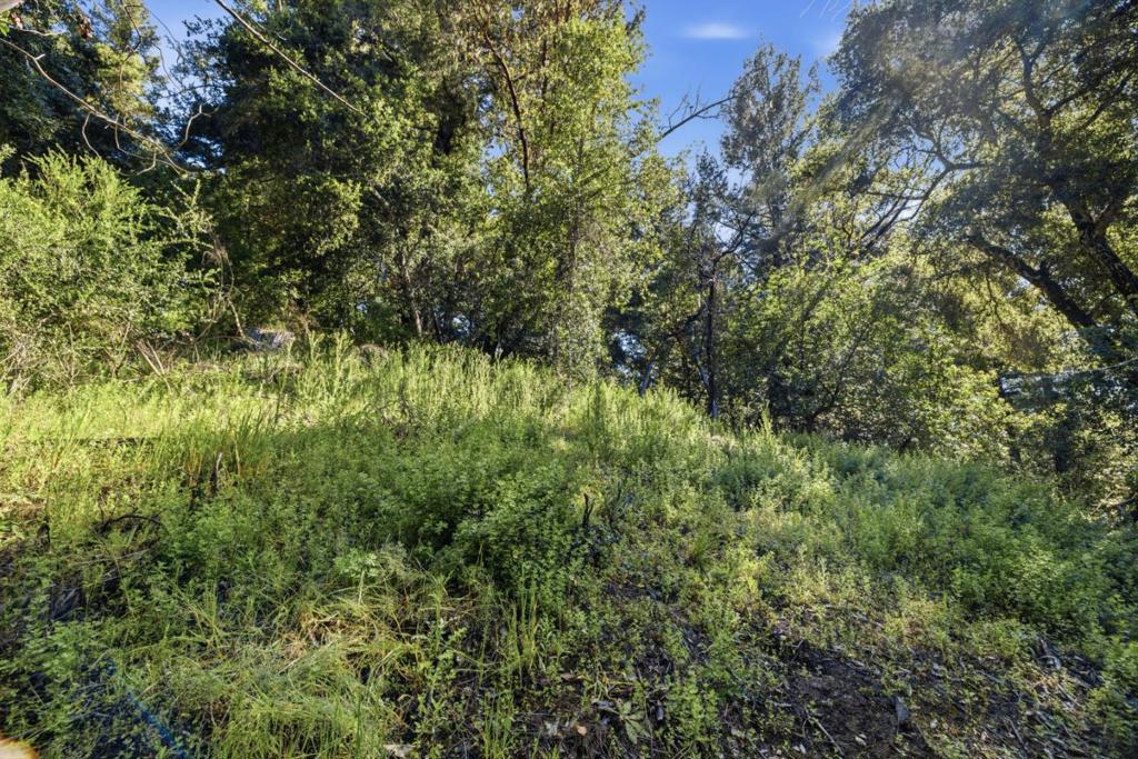 360 Rincon Way Property Photo 42