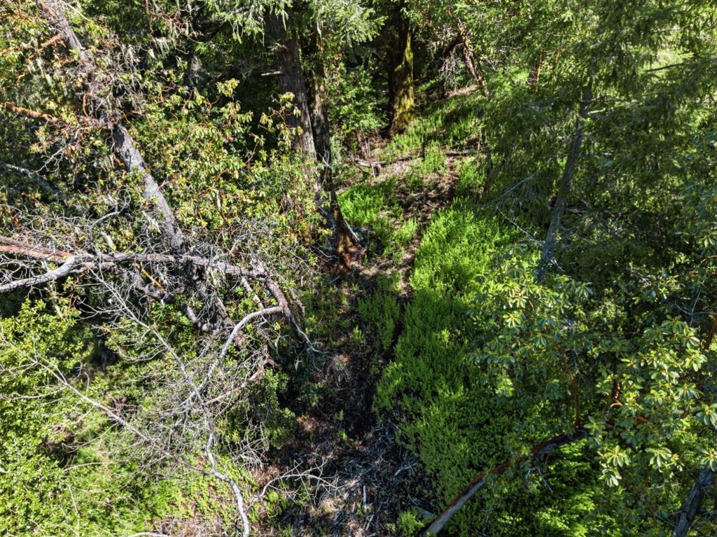 360 Rincon Way Property Photo 43